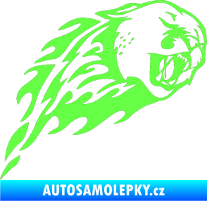 Samolepka Animal flames 083 pravá puma Fluorescentní zelená
