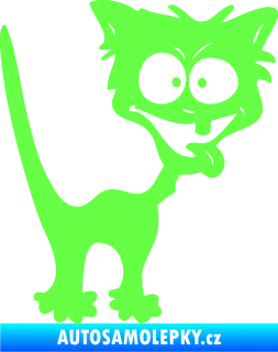 Samolepka Crazy cat pravá bláznivá kočka Fluorescentní zelená