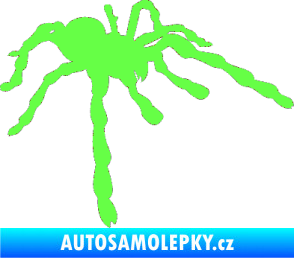 Samolepka Pavouk 013 - pravá Fluorescentní zelená