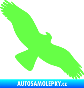 Samolepka Dravec na sklo 001 pravá Fluorescentní zelená