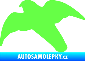 Samolepka Dravec na sklo 003 levá Fluorescentní zelená