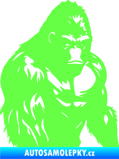 Samolepka Gorila 004 pravá Fluorescentní zelená