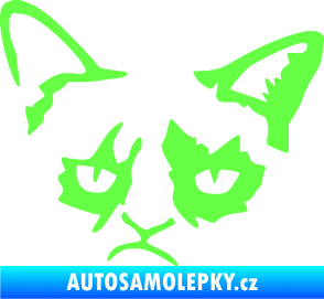 Samolepka Grumpy cat 001 levá Fluorescentní zelená