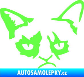 Samolepka Grumpy cat 001 pravá Fluorescentní zelená
