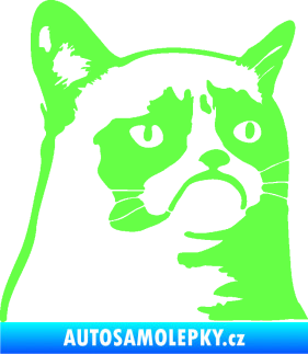 Samolepka Grumpy cat 002 pravá Fluorescentní zelená