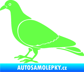 Samolepka Holub 002 levá Fluorescentní zelená