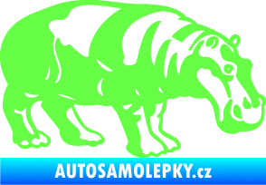Samolepka Hroch 003 pravá Fluorescentní zelená