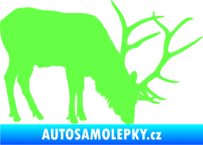 Samolepka Jelen 008 pravá Fluorescentní zelená