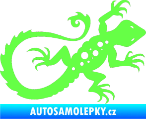 Samolepka Ještěrka 012 pravá Fluorescentní zelená