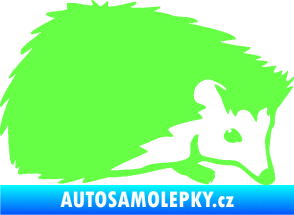 Samolepka Ježek 002 pravá Fluorescentní zelená