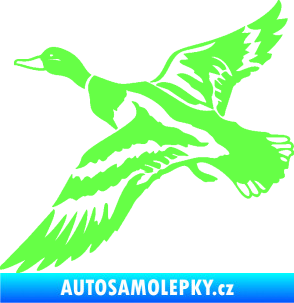 Samolepka Kachna divoká 001 levá kačer Fluorescentní zelená