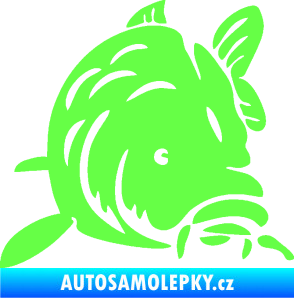 Samolepka Kapr 002 pravá Fluorescentní zelená