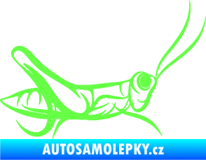 Samolepka Kobylka 001 pravá Fluorescentní zelená