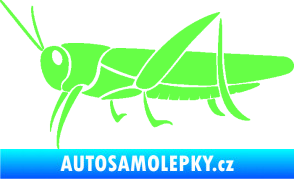 Samolepka Kobylka 002 levá Fluorescentní zelená
