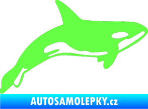 Samolepka Kosatka 001 pravá Fluorescentní zelená