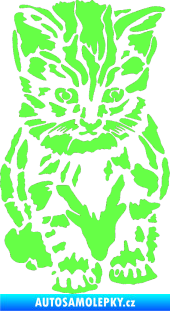 Samolepka Koťátko 002 pravá Fluorescentní zelená
