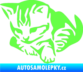 Samolepka Koťátko 003 levá Fluorescentní zelená