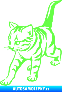 Samolepka Koťátko 004 levá Fluorescentní zelená