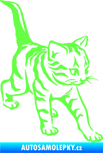 Samolepka Koťátko 004 pravá Fluorescentní zelená