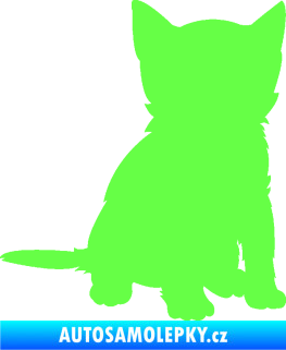 Samolepka Koťátko 005 pravá Fluorescentní zelená