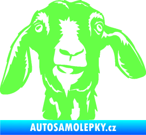 Samolepka Koza 003 pravá Fluorescentní zelená