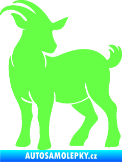 Samolepka Koza 004 pravá Fluorescentní zelená