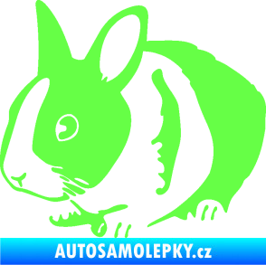 Samolepka Králík 002 levá zakrslý králíček Fluorescentní zelená