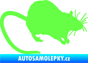 Samolepka Krysa 002 pravá Fluorescentní zelená