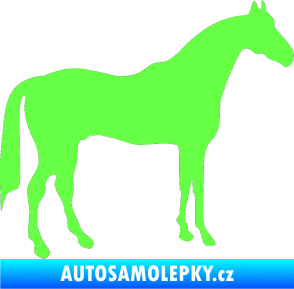 Samolepka Kůň 004 pravá Fluorescentní zelená