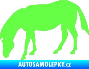 Samolepka Kůň 006 levá na pastvě Fluorescentní zelená