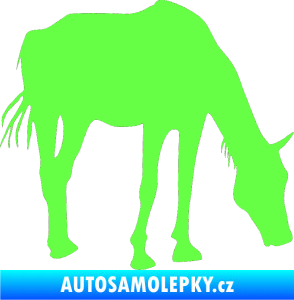 Samolepka Kůň 008 pravá Fluorescentní zelená