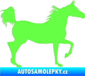 Samolepka Kůň 009 pravá Fluorescentní zelená