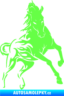 Samolepka Kůň 079 pravá v plamenech Fluorescentní zelená