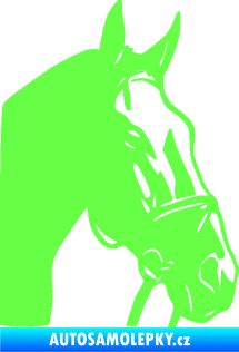 Samolepka Kůň 089 pravá Fluorescentní zelená