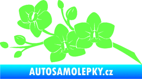 Samolepka Květina dekor 008 levá orchidej Fluorescentní zelená
