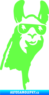 Samolepka Lama 003 pravá Fluorescentní zelená