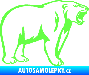 Samolepka Lední medvěd 003 pravá Fluorescentní zelená