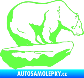 Samolepka Lední medvěd pravá Fluorescentní zelená