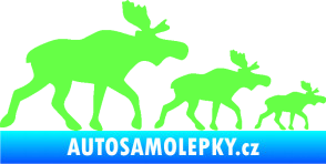 Samolepka Losí rodinka pravá Fluorescentní zelená