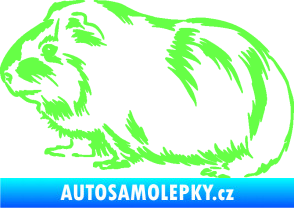 Samolepka Morče 002 levá Fluorescentní zelená