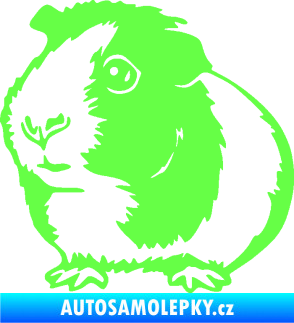 Samolepka Morče 003 levá Fluorescentní zelená