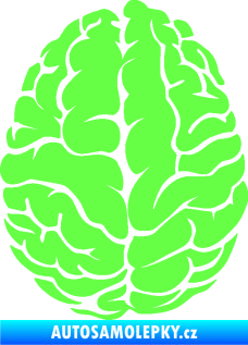 Samolepka Mozek 001 levá Fluorescentní zelená