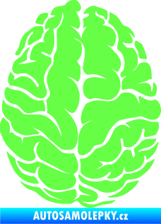 Samolepka Mozek 001 pravá Fluorescentní zelená