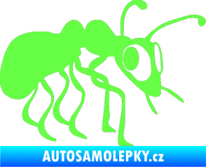 Samolepka Mravenec 001 pravá Fluorescentní zelená
