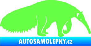 Samolepka Mravenečník 001 pravá Fluorescentní zelená