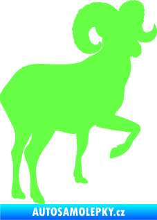 Samolepka Muflon 002 pravá Fluorescentní zelená
