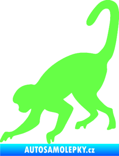 Samolepka Opice 002 levá Fluorescentní zelená