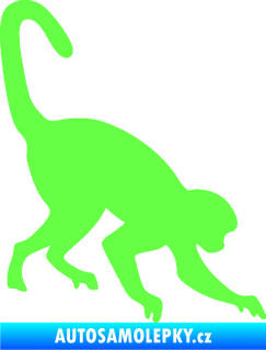 Samolepka Opice 002 pravá Fluorescentní zelená