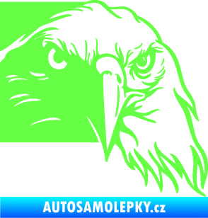 Samolepka Orel 010 pravá hlava Fluorescentní zelená