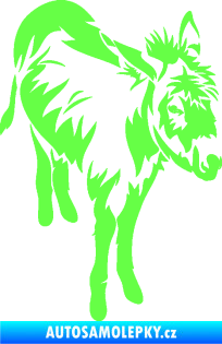 Samolepka Osel 005 pravá Fluorescentní zelená
